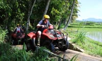 Full Day Bali Adventure with Quad Bike and Heaven Swing  4