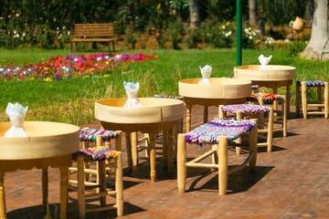 Marrakech Tour Gardens Majorelle, Menara & Anima Gardens