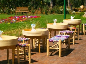 Marrakech Garden Tour: Majorelle, Menara & Anima Gardens
