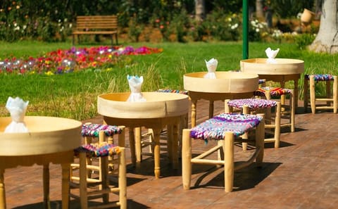 Marrakech Garden Tour: Majorelle, Menara & Anima Gardens
