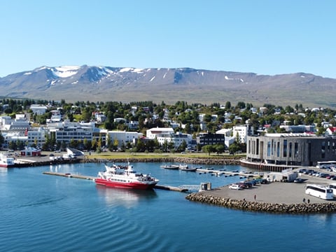 Akureyri Express Whales in the Midnight Sun, photo 14