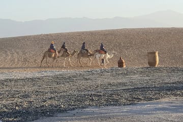 1 Hour Camel Ride in the palm groves of Marrakech