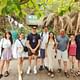 Halong Premium Day Cruises from HANOI going by PRIVATE LIMOUSINE