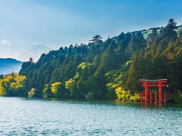 Mt Fuji or Hakone Private Day Tour