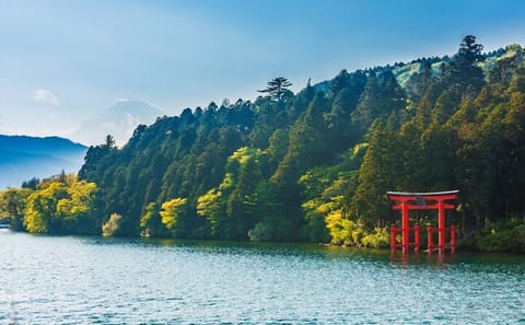 Mt Fuji or Hakone Private Day Tour