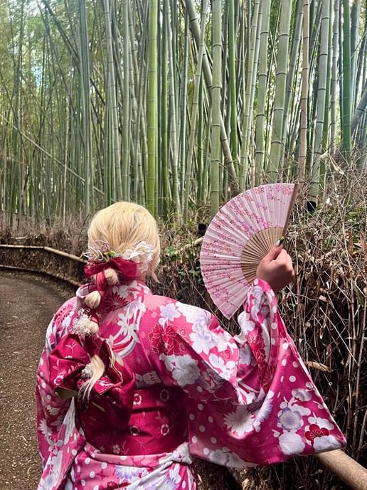 japan tour  go and joy Travel