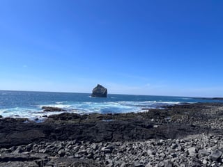 Reykjanes Peninsula Private Tour: Geothermal Areas, Volcanoes, Cliffs & Bridge Between Continents | Complimentary KEF Airport Pickup or Drop, photo 10