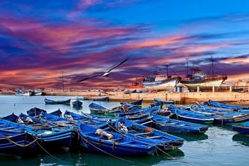 Essaouira Mogador Shared Day Trip from Marrakech