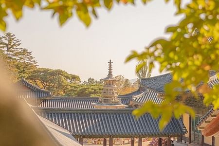 Customized Gyeongju Tour: Explore Silla’s Timeless Heritage and Beauty