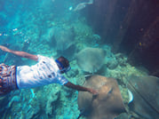 Guided Snorkeling Trip 6