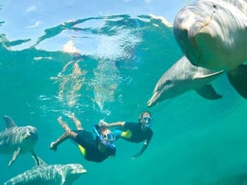 Boat Trip to Magawish Island from Hurghada with Snorkeling
