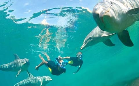 Boat Trip to Magawish Island from Hurghada with Snorkeling