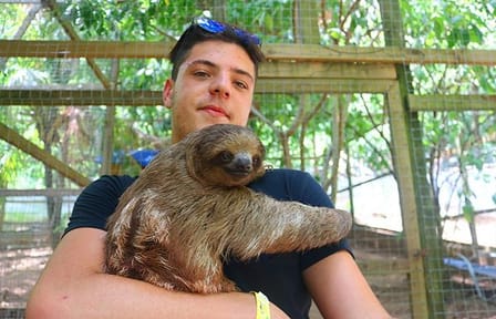 Wildlife Encounters with Macaws, Monkeys & Sloths in Coxen Hole