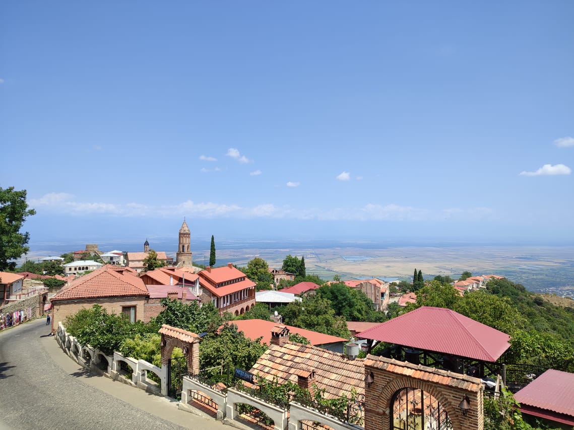 From Tbilisi: Kakheti Wine Region 8