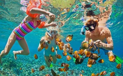 Private Fishing and Snorkeling Tour in Hurghada, Egypt