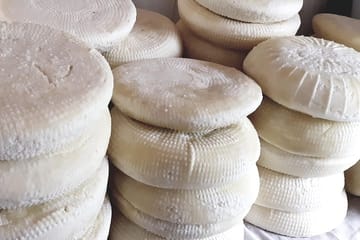 Troodos Mountains Food and Wine Tour from Larnaca