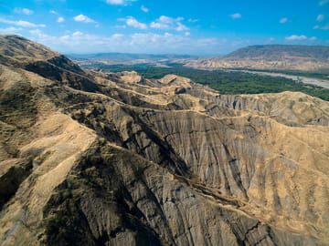 Full-Day Wildlife Safari in Cerros de Amotape National Park
