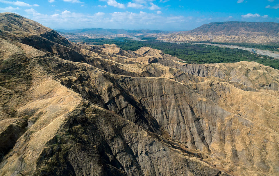 Full-Day Wildlife Safari in Cerros de Amotape National Park