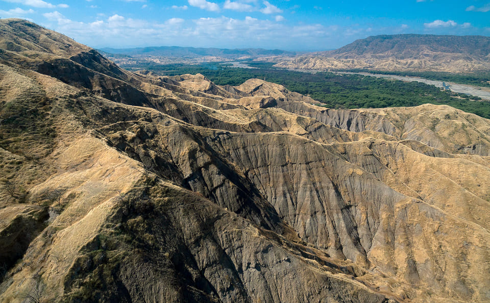 Full-Day Wildlife Safari in Cerros de Amotape National Park