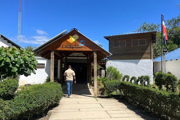 Damajagua Waterfalls and Monkey Private Van Tour