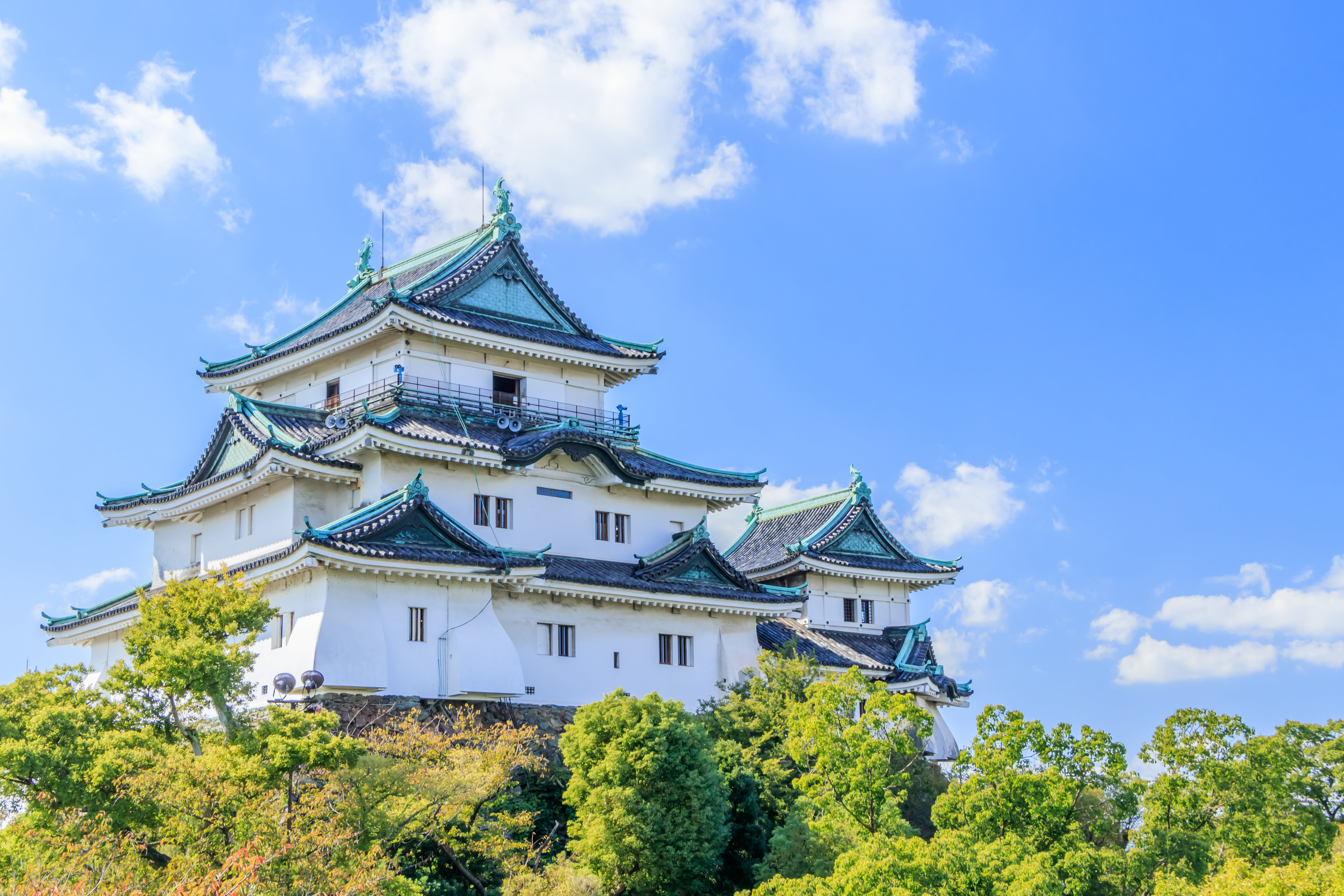 Wakayama Private Vehicle Service with Restaurant Reservation