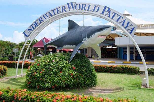 PATTAYA Join Tour Under Water World 2