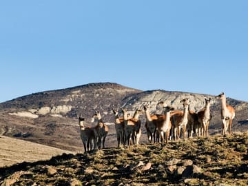 ATV Safari Tour in El Calafate and Lago Argentino