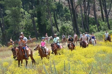 Horseback Riding Adventure from Kuşadası Port for Cruise Guests