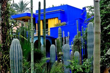 Majorelle Garden, St Laurent,Berber Museum Round-trip & Tickets