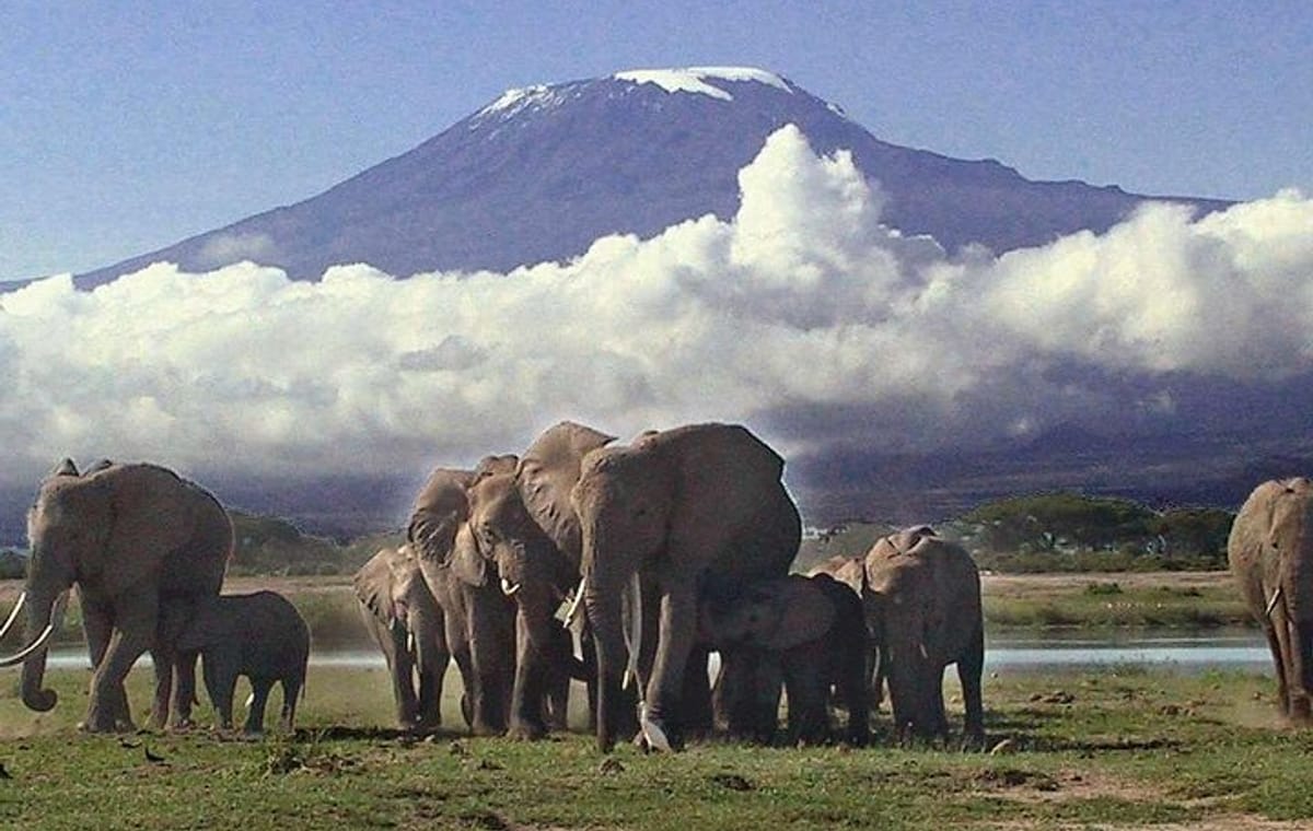 Private 3-Day Safari at Amboseli National Park from Nairobi