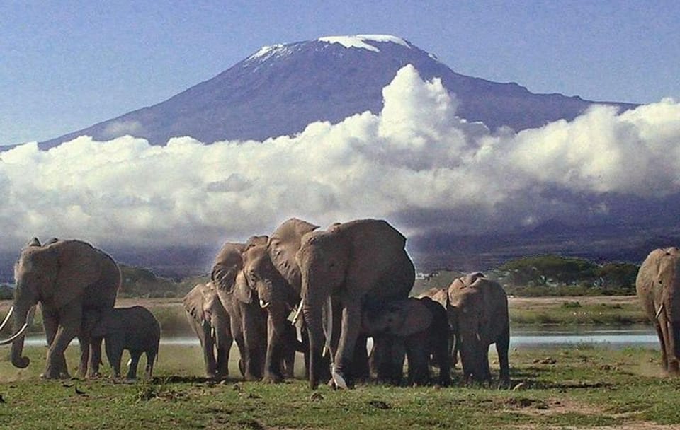 Private 3-Day Safari Experience in Amboseli National Park
