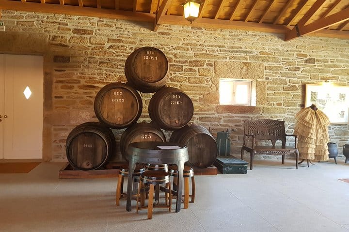 Douro Valley for Wine Lovers with Visit to 3 Vineyards and Lunch at a Winery