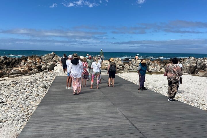 Cape Agulhas, Full-Day Private Tour & Wine Tasting from Cape Town