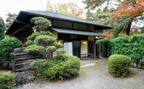 Cultural Experience Tour: Tea, Flowers, and Shodo in Izumisano