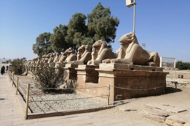 Private Tour: Luxor East Bank, Karnak and Luxor Temples photo 2