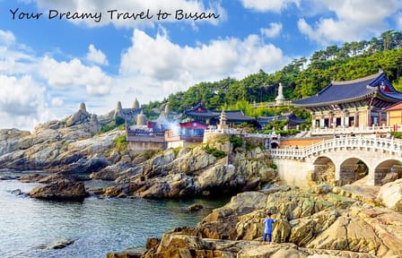 Cruise Layover Busan Highlight Tour with Sea temple and Gamcheon