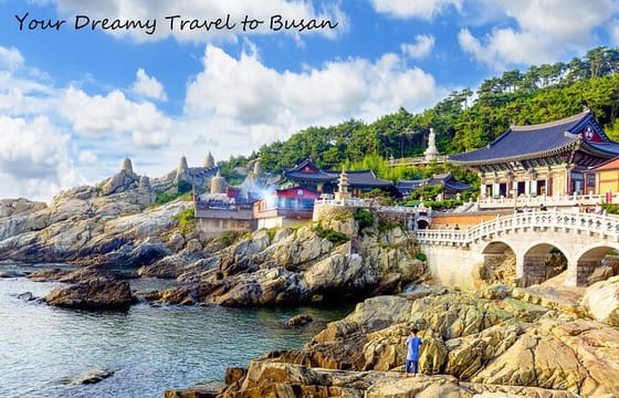 Cruise Layover Busan Highlight Tour with Sea temple and Gamcheon