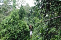 3-Day Manu National Park Tour from Cusco 10
