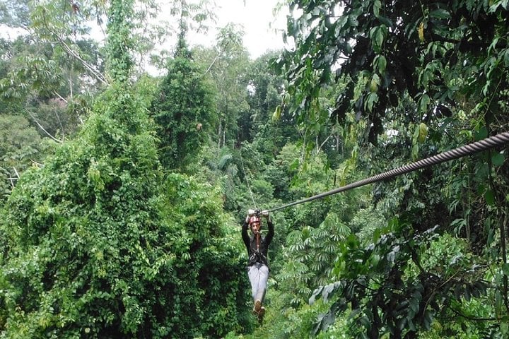 3-Day Manu National Park Tour from Cusco 10
