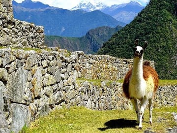 4-Day Inca Quarry Trek to Machu Picchu