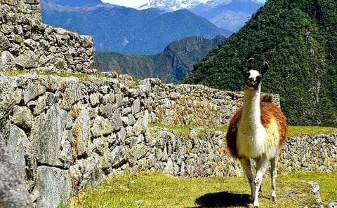 4-Day Inca Quarry Trek to Machu Picchu