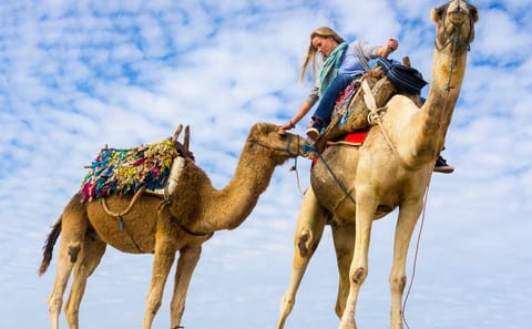 Premium 2 Hours Camel Ride: Amazing Desert & Sea – Hurghada