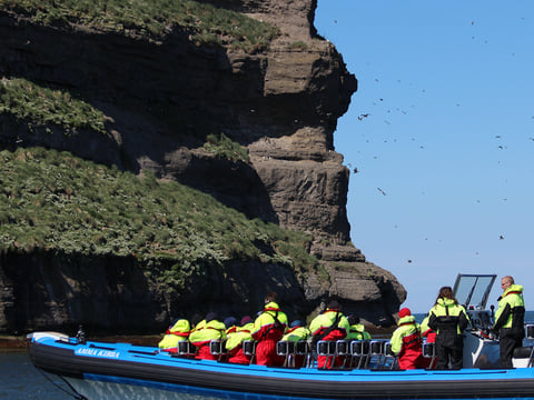 GG6 Puffins Exclusive, photo 2