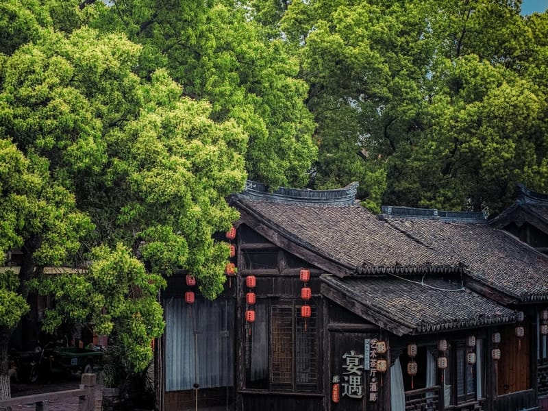 Shanghai: Tongli Water Town Evening Private Day Trip