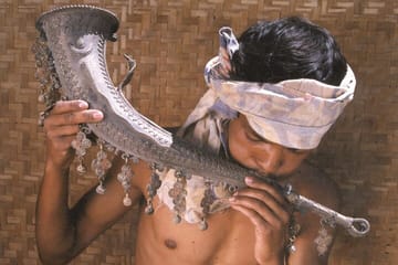 Cultural and Wildlife Tour from Bhubaneswar to Nagpur