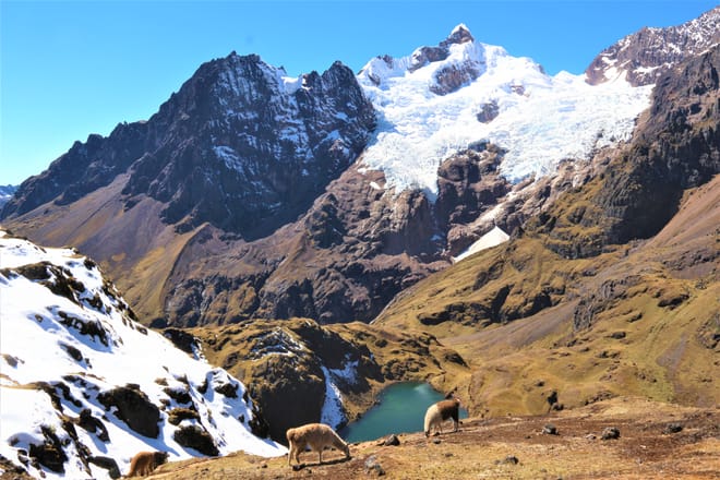 Lares Trek to Machu Picchu 4 days photo 6