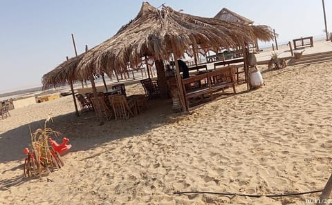 Private Jeep Adventure Tour of Fayoum Oasis from Cairo
