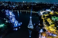 Christmas Lights Tour São Paulo: Keep Yourself In The Christmas Spirit 1