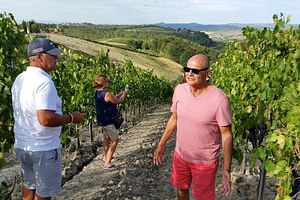 Regular wine Tour in Chianti and visit of Siena - small group sharing
