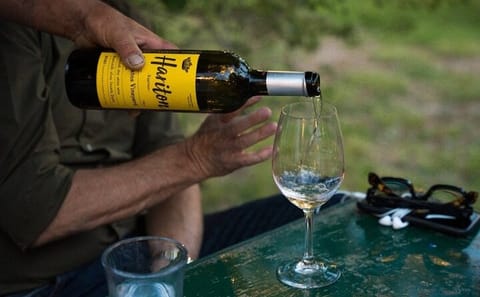 Kefalonia Wine Tour at Sklavos and Haritatos Estates